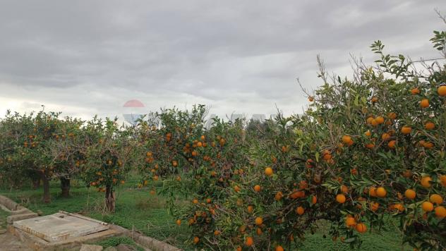terreno agricolo in vendita a Belpasso