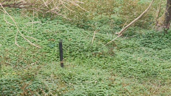 terreno agricolo in vendita a Belpasso