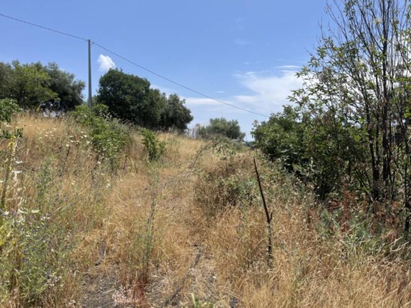 terreno agricolo in vendita a Belpasso