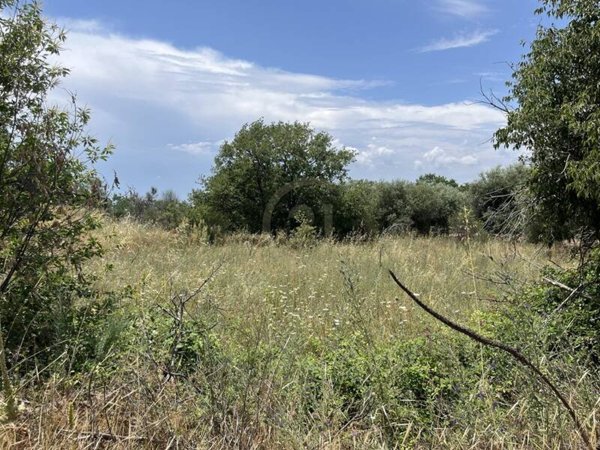 terreno in vendita a Belpasso