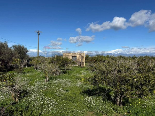 terreno agricolo in vendita a Belpasso