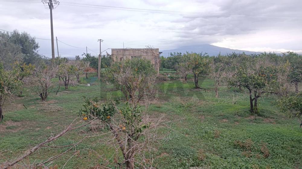 terreno agricolo in vendita a Belpasso