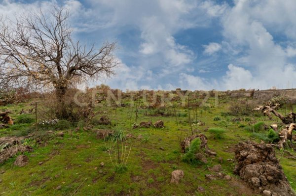 terreno agricolo in vendita a Belpasso