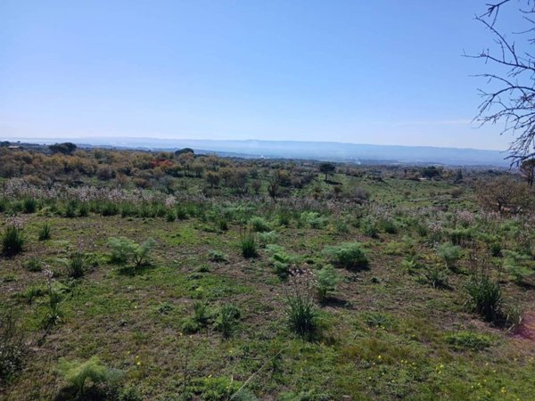 terreno agricolo in vendita a Belpasso