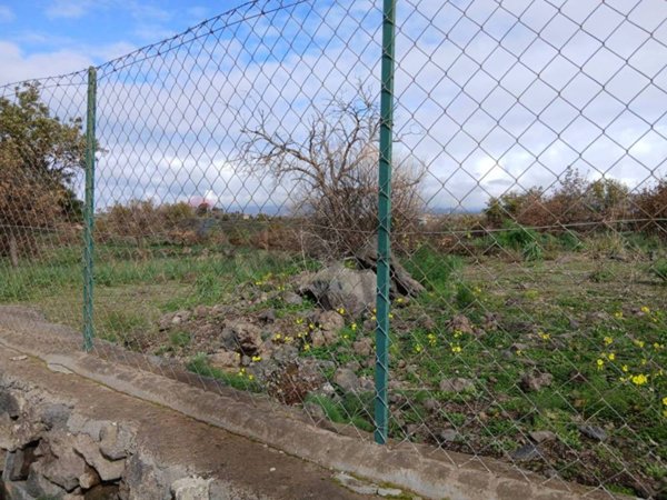 terreno agricolo in vendita a Belpasso