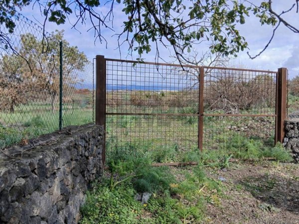 terreno agricolo in vendita a Belpasso