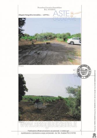 terreno agricolo in vendita a Belpasso