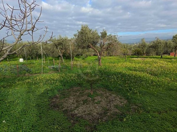 terreno agricolo in vendita a Belpasso
