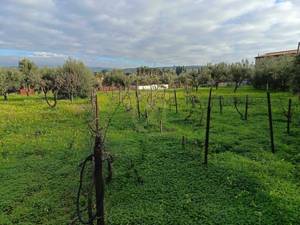 terreno agricolo in vendita a Belpasso