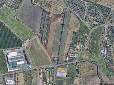terreno agricolo in vendita a Belpasso