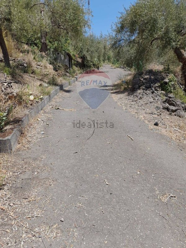 terreno agricolo in vendita a Belpasso