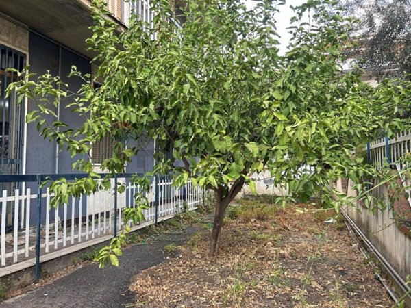 appartamento in vendita a Belpasso