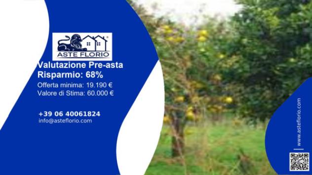 terreno agricolo in vendita a Belpasso