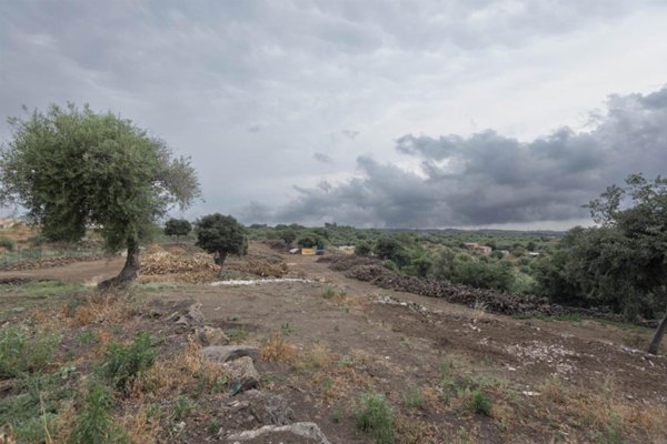 terreno agricolo in vendita a Belpasso in zona Piano Tavola