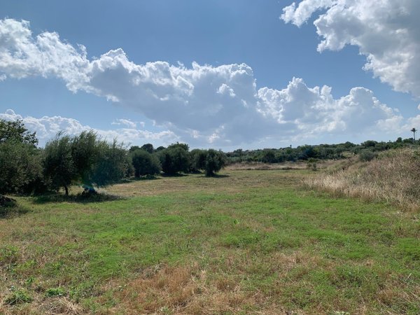 terreno agricolo in vendita a Belpasso