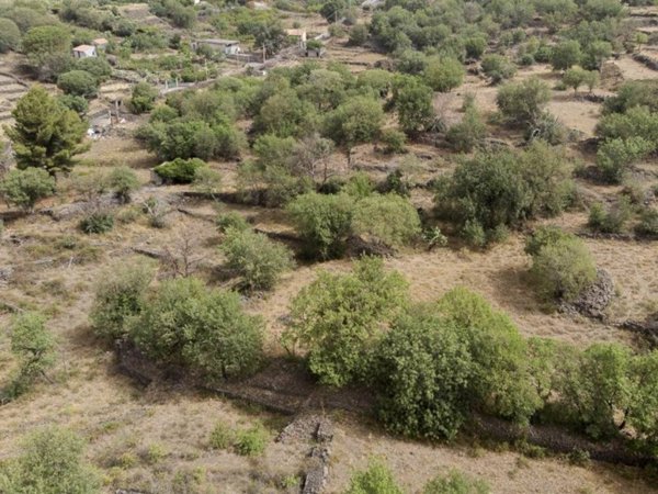 terreno agricolo in vendita a Belpasso