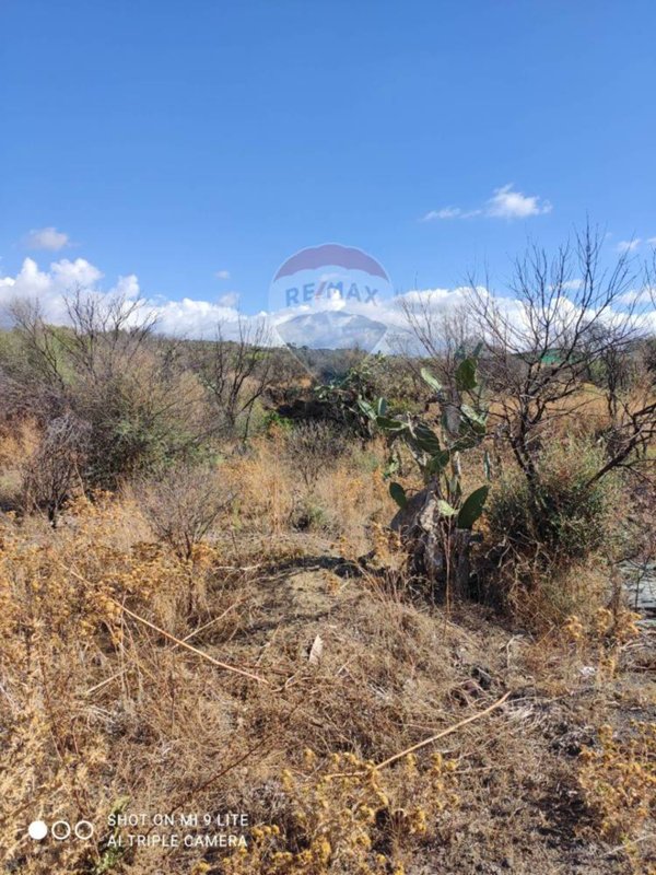 terreno agricolo in vendita a Belpasso