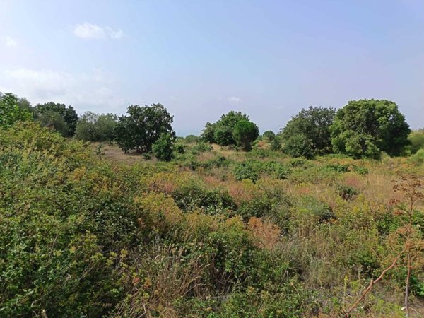 terreno agricolo in vendita a Belpasso