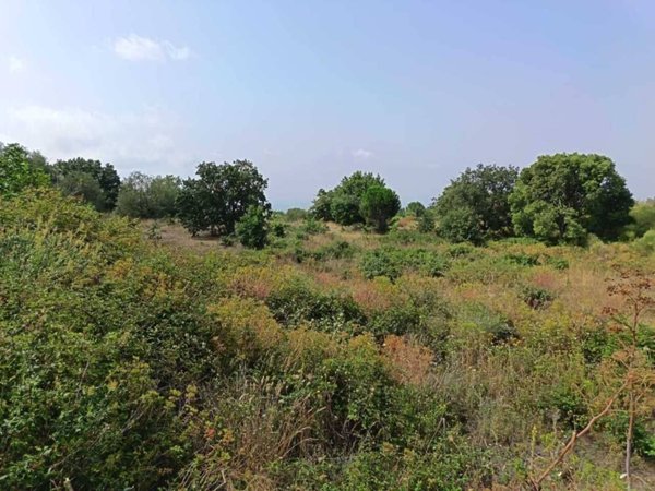 terreno agricolo in vendita a Belpasso