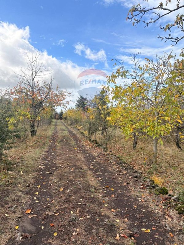 casale in vendita a Belpasso