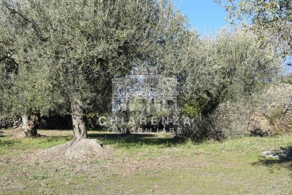 terreno agricolo in vendita a Belpasso