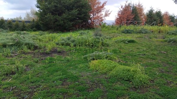terreno agricolo in vendita a Belpasso