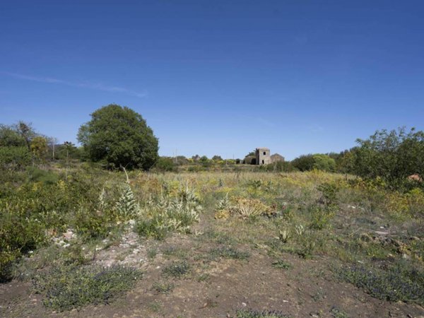 terreno agricolo in vendita a Belpasso