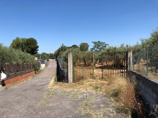 terreno agricolo in vendita a Belpasso