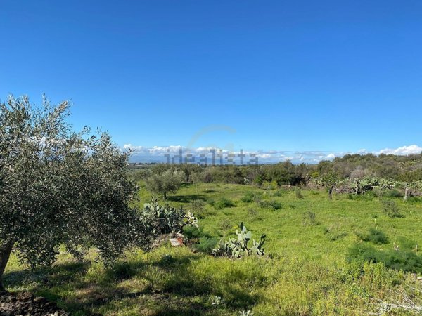 terreno agricolo in vendita a Belpasso