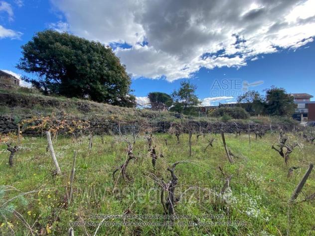 terreno agricolo in vendita a Belpasso