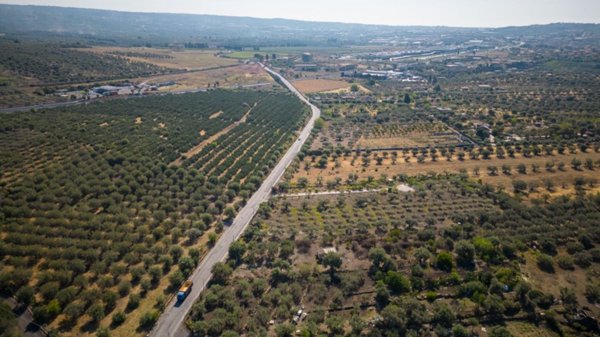 terreno agricolo in vendita a Belpasso
