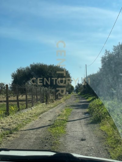 terreno agricolo in vendita a Belpasso