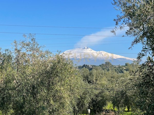 terreno agricolo in vendita a Belpasso
