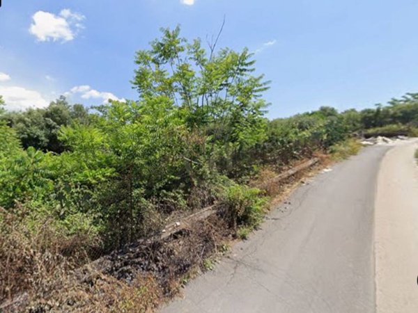terreno agricolo in vendita a Belpasso