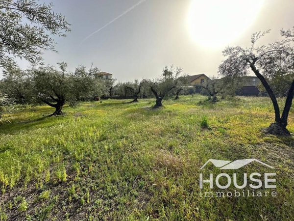 terreno agricolo in vendita a Belpasso