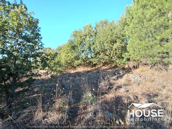 terreno agricolo in vendita a Belpasso