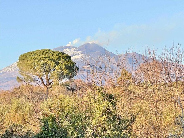 terreno agricolo in vendita a Belpasso