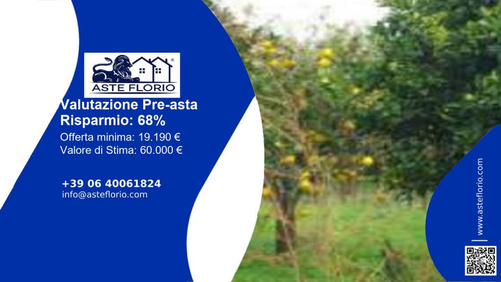 terreno agricolo in vendita a Belpasso