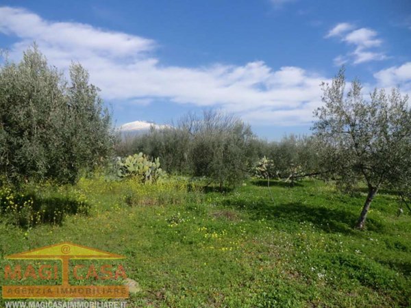 terreno agricolo in vendita a Belpasso