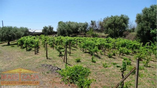 terreno agricolo in vendita a Belpasso