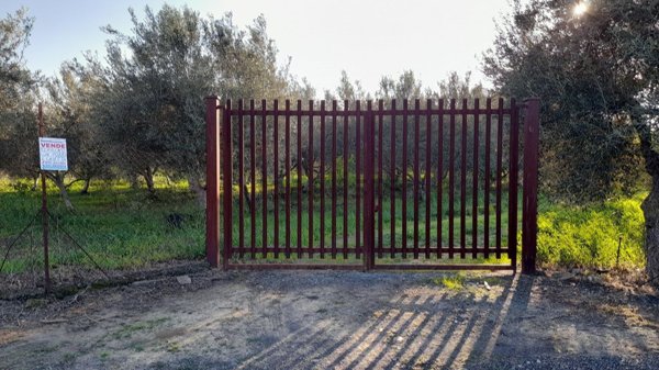 terreno agricolo in vendita a Belpasso
