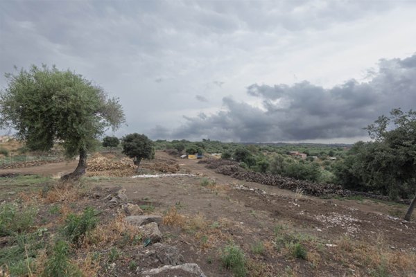 terreno agricolo in vendita a Belpasso in zona Piano Tavola