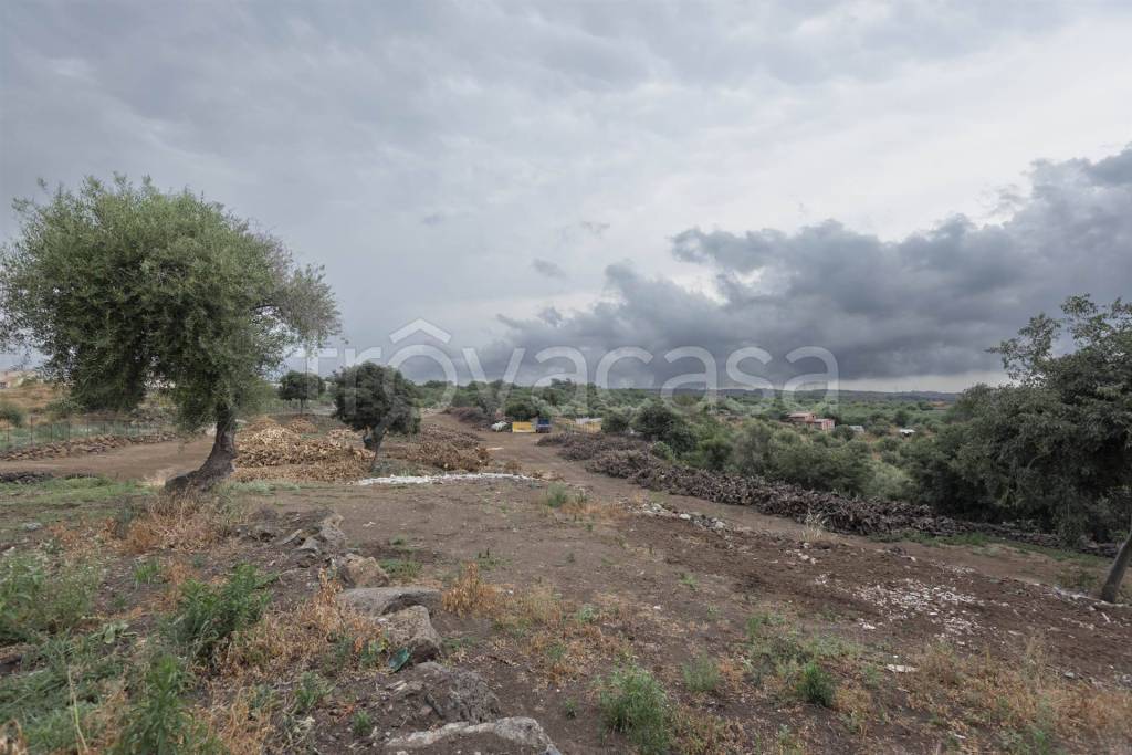 terreno agricolo in vendita a Belpasso in zona Piano Tavola