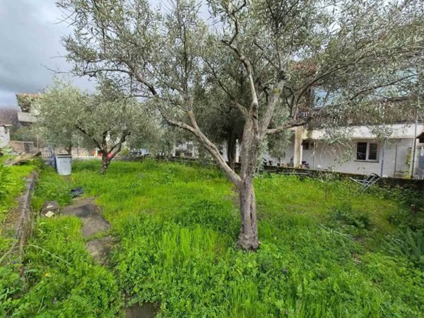 immagine annuncio 0 di 15