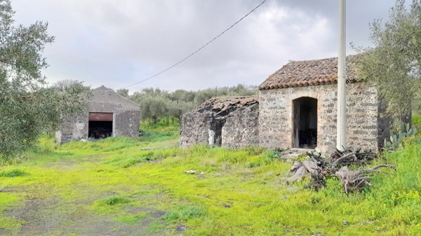terreno agricolo in vendita a Belpasso