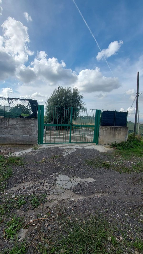 terreno agricolo in vendita a Belpasso