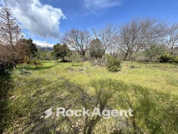terreno agricolo in vendita a Belpasso