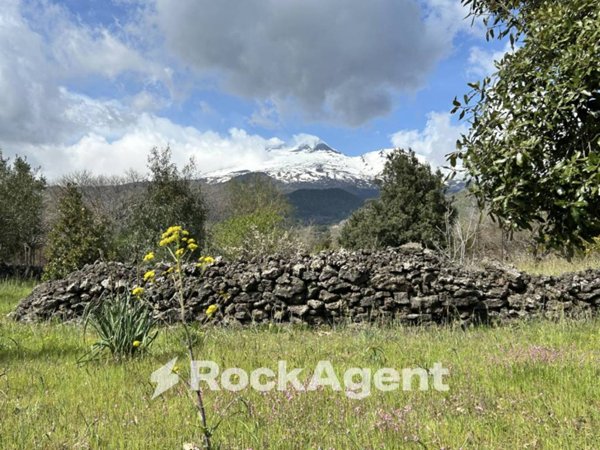 terreno agricolo in vendita a Belpasso