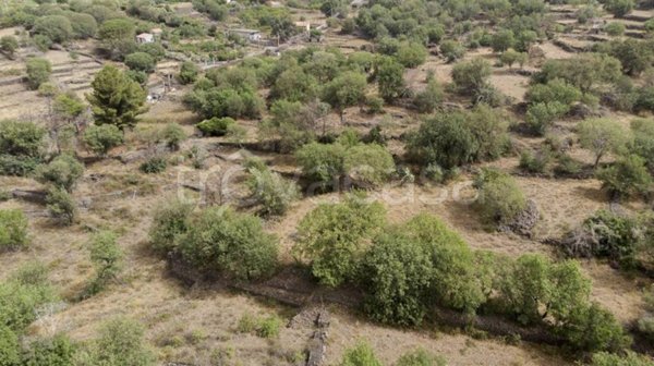 terreno agricolo in vendita a Belpasso