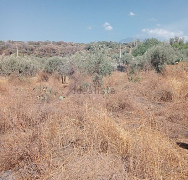 terreno agricolo in vendita a Belpasso in zona Piano Tavola